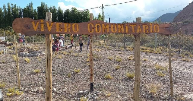 vivero comunitario de Potrerillos